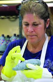 Photos: Isabel Bloom LLC