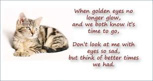 Rainbow bridge sympathy text pet loss rubber stamp wood mounted, what to write in a pet sympathy card punkpost medium, 45 pet condolence messages everydayknow com, molly mae loss of dog pet loss sympathy frame engraving option. Cat Loss Remembrance In 2021 Condolence Messages Pet Loss Sympathy Card Messages