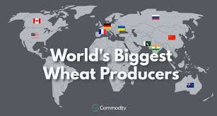 wheat learn how to trade it at commodity com