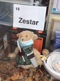 Toffee Apple Ted Trail brings cheer to Jesmond streets