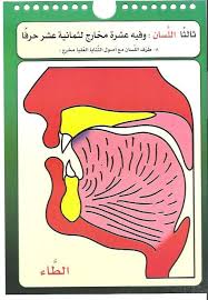 Pin On مخارج الحروف