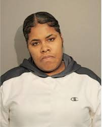 ᐅ Illinois Criminal Records 2009-2025