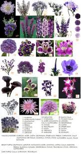 Choose the colour that goes well with your main bouquet flowers. 76 Flowers Fillers Ideas Flowers Flower Names Types Of Flowers