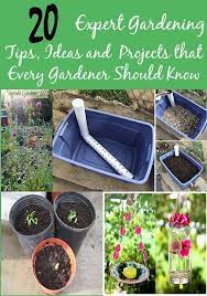 20 Insanely Genius Gardening Hacks For Beginners Pinner Girl Gardening For Beginners Organic Gardening Tips Gardening Tips