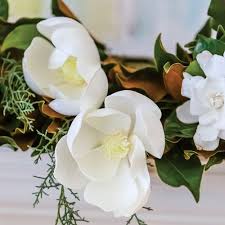 1500 x 1247 jpeg 317 кб. For The Love Of Magnolias Flower Magazine