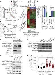 We all know that there are some abstract feelings which have highly optimistic auras which bless each of its followers with the presence of eternal bliss and words are a mere try to put. Ews Fli1 Increases Transcription To Cause R Loops And Block Brca1 Repair In Ewing Sarcoma Nature
