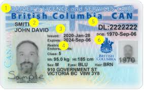 When changing information on your driving licence, there are different forms and various addresses that need to be considered, depending on the information be able to give address you have resided in for the last 3 years. Bc Driver S Licence And Services Card Province Of British Columbia