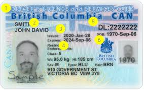 What age can you get your license in ca. Bc Driver S Licence And Services Card Province Of British Columbia
