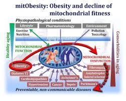 In the acute hospital setting, healthcare professionals need fast access to the latest clinical information. Comorbidity Bioblast