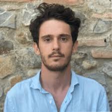 Mentors, Experts, and Fellows