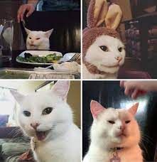 Table Cat Has A Name His Name Is Smudge Cute Funny Animals Cats Evil Cat