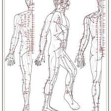 A1 Acupuncture Chart