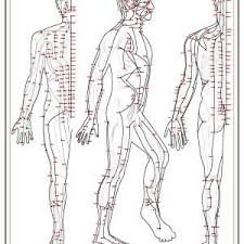 A1 Meridian Chart Dougans International