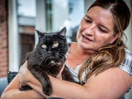 Ouders van Boyd (12) uit Helmond hoeven niet tegen hem te zeggen: 'Je moet  gaan schaken', hij wil niet anders