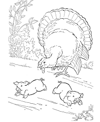 Do you like cute, lovable little guy. Farm Animal Coloring Pages Printable Turkey Coloring Page And Kids Activity Sheet Farm Animal Coloring Pages Turkey Coloring Pages Camping Coloring Pages