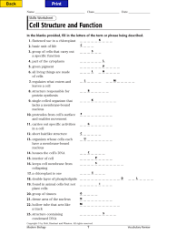 Worksheet will open in a new window. Cell Structure And Function Vocabulary