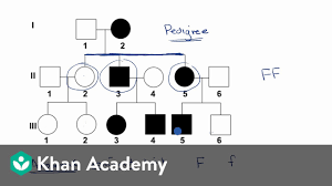 Pedigrees Video Classical Genetics Khan Academy