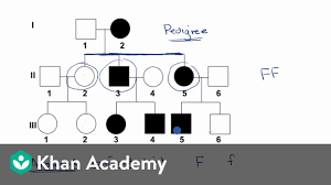 pedigrees video classical genetics khan academy