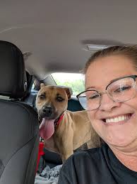 Lost dog in Huntington, WV area