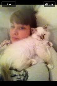 When Kenzo Was A Kitten Kittens Cats Birman