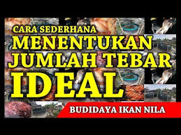 Cara Menghitung Jumlah Tebar Yang Ideal Pada Kolam Ikan Nila Versi Pemula Sederhana Youtube Di 2020 Sederhana Ikan