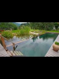 All Natural Pond Swimming Hole A Must For Our New Yard Zwemvijvers Vijvers Achtertuin Zwembad