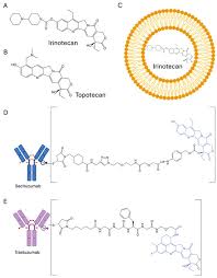 Image result for Topotecan