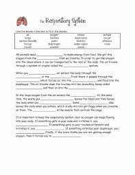 Respiratory System Worksheet Pdf New Schoolscdsb On Magazines Chessmuseum Template Li In 2020 Respiratory System Respiratory System Projects Human Respiratory System
