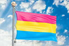 Pansexuality is part of the sexual identity spectrum, with heterosexuality at one end and homosexuality at the some people also use the term pansexual to be explicitly inclusive of trans people, but that. Pansexuality Meaning And Why It S Not Bisexuality