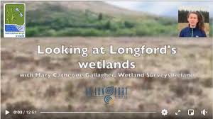 Bruce mcculloch superstore, season 1. Wetland Surveys Ireland On Twitter Join Mary Catherine Gallagher From Wsi As She Discusses Our Wetlands Their Importance In Our Lives And How To Protect Them Into The Future This Video Was