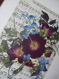 43 Ideas Dry Flower Art Decoration Inspiration Pressed Flower Art Pressed Flower Crafts Flower Art