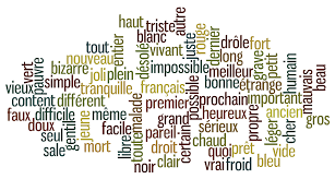 Voici Les Adjectifs Les Plus Courants Et Les Plus Utilises De La Langue Francaise Teaching French French Adjectives French Lessons