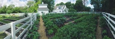 The maine organic farmers and gardeners association (mofga) certifies organic food and products throughout the state of maine. The Organic Gardener Ltd Home Facebook