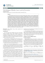 Within the urinary system, the bladder is the location most the most common cancer of the dog urinary bladder is invasive transitional cell carcinoma (tcc) of intermediate to high grade. Pdf The Etiology Of Bladder Cancer And Its Prevention