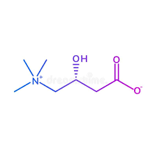 L Carnitine Chemical Formula On White Background Aff Chemical Carnitine Formula Background White Ad Chemical Formula Chemical Molecular