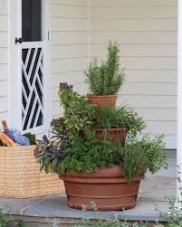 And they each get their own space so the aggressive plants won't take over (yes, mint, i'm. Tower Of Herbs Martha Stewart
