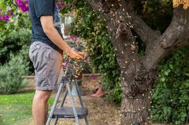 Hanging lights in trees outside. How To Wrap Trees With Outdoor Lights