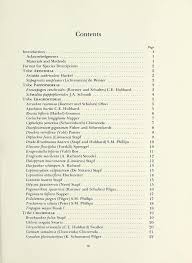 Image result for Aristida scabrivalvis