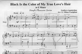 Black Is The Colour Of My True Love S Hair Maya Chowdhry