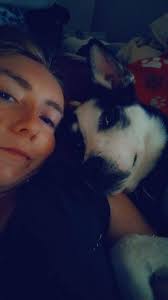 Lost dog in Tulsa area without collar