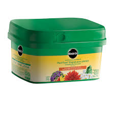 Personally, i think that if you already have a nice potting mix or seed starting mix, the miracle grow would not be necessary. Miracle Gro Water Soluble Plant Food All Purpose 24 8 16 1 1 Lb 2756810 Reno Depot