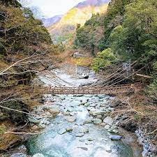徳島祖谷のかずら橋 instagram instagram photo photo