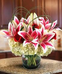 We did not find results for: Star Gazing A Wonderful Mix Of Fragrant Stargazer Lilies And Hydrangea Is An Elegant Gift For Your Sweetheart Lilies Valentinesda Flower Arrangements Valentines Flowers Lily Centerpieces