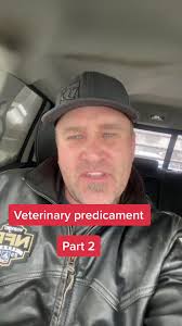 Peter Gibson Horse Clinic