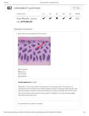 As you are typing the cell reference in, you can use the f4 key to change it between the different reference types. Cell Types Gizmo Explorelearning Pdf Cell Types Gizmo Explorelearning Assessment Questions Print Page Tunde Ajala Q1 Q2 Q3 Q4 Q5 Score Your Results Course Hero