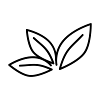 Fresh Icons - Free SVG & PNG Fresh Images - Noun Project