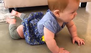 best baby knee pads for crawling all