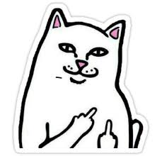 Funny Cat Sticker Cat Stickers Meme Stickers Cool Stickers