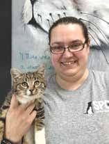 Our Favorite Breed Is Rescued