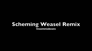 Scheming Weasel Remix Insomniabeats Youtube